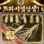 EVADA 강화도 인삼 대수삼 한채 9-11뿌리 설날선물