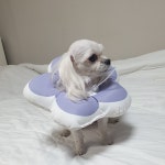 꽃피는 강아지 고양이 쿠션 넥카라 M