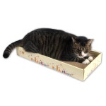 위드캣 스크레쳐 판3P