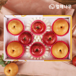 열매나무 행복담은 과일세트 1호