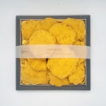 청림농원 원형 상황버섯 버섯 선물세트 250g