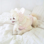 꼴레트멍멍 베베 파자마 강아지티셔츠 마틴로지