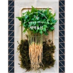 새싹농부의 건강한 새싹삼 가정용 크기혼합 100뿌리 이상 300개