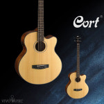 콜트 어쿠스틱 나무 베이스 픽업 바로 연주가 가능한 구성품 AB850F