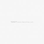 제일벽지 제일 -제이프리미엄 제일 제이플래티넘 9455-1