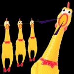 소리나는 닭 소형 미친 장난감 엽기 삑삑이 강아지