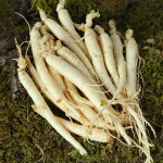 산지직송 금산 황금농장 삼계탕 갈비탕용 세척 인삼 소 700g