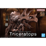 반다이 1 32 이메지너리 스켈레톤 트리케라톱스 Triceratops 프라모델