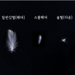 조은자리 호텔 헝가리 구스 다운 사계절 차렵 이불 Q 850g