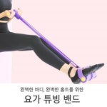 리더스 튜빙밴드 웨이트기구 웨이트용품 휘트니스 페달로프 LD-486