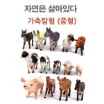 이종욱완구 자연은살아있다 가축탐험 중형