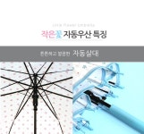 60 작은꽃 EVA 자동우산 2색