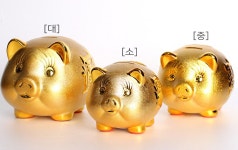 황금돼지 복돼지 저금통 소 중 대 집들이 선물 인테리어