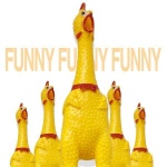 꼬끼오 크레이지 미친닭 애견훈련 엽기닭 삑삑이