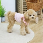 강아지 프릴 티셔츠 애견 병원 외출복 실내복