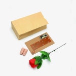 가방 라이트 마술 트릭 손가락과 장미 꽃 무대 연인 커플 매직 1