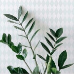 풀바른 벽지 조각 만능 붙이는 풀먹인 다이아몬드