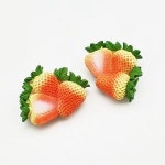 음식 모형 마그넷 딸기