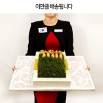 수삼시장33호;34호 | 수삼선물세트 2호 국내산 부모님 고급 명절선물