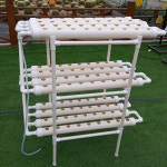 물에서키우는식물 수경재배기 집에서상추키우기 텃밭