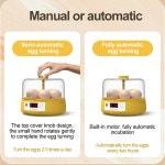 완전 자동 LED 6 계란 인큐베이터 부화장 기계 온도 습도 제어 닭 오리 메추라기 조류 인공 부화기 농장