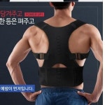 HEALTH 바른 자세 고정 밴드 굽은어깨 등 허리 1P 1개 L