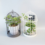 컨츄리아이템 컨츄리아이템 도브 내츄럴 가든 라운드 새장