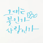 1am 1AM 캘리그라피 인테리어 포인트 스티커 S2 그대는 꽃인가 하늘 중 600 x 453