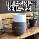 테라스톤 화분 대형 테라조 타원 투톤 북유럽디자인화분 가을