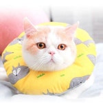 PAT 강아지 목 보호대 쿠션 원 애견 넥카라 깔대기 S 핑크래빗 NH-364