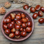 부스터랩 공주 정안 알밤 특대 1kg