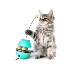 펫블랑 고양이 오뚝이볼 간식볼 그린