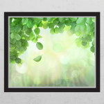 꾸밈 cj833-햇살가득나뭇잎 창문그림액자