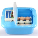 초등학교 체험활동 병아리 부화기 9란용 메추리 자동 가정용 체험장