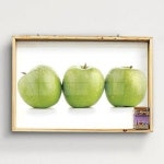 꾸밈 tg586-우드프레임액자 초록사과세개