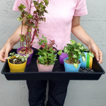 직사각 모종 모판 받침판 트레이 육묘상자 식물트레이