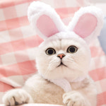 애견 애완 강아지 고양이 토끼귀 모자 장식품