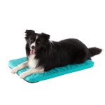 벤트라 벤트라 강아지 메모리폼 켄넬방석 바리켄넬용 매트리스 250 그린 1개