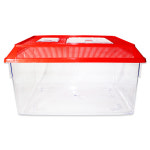 챔프 왕대 소라게 사육장 아크릴