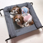 코코시루 코코시루 펫 고양이 쇼파 해먹 CPH 애견 반려견 강아지 쿠션 침대 매트 1개