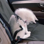 차량용 펫 반려 애완 동물 강아지 자동차 좌석 오염 방지 방수 카 시트 커버 매트 M10978