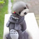 토토로 애견의류 올인원 S