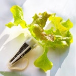 팜인팜 GROWPOT-01