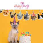 해피파티 펫 생일 고양이 가랜드