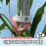 식물지지대 고정 타이 클립 투명 20P