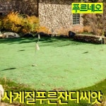 푸르네오 사계절 푸른 잔디씨 잔디씨앗 10 용 골프장용 마사토 용