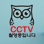 교보문고 뭉키데코 생활스티커 부엉이 CCTV촬영중1