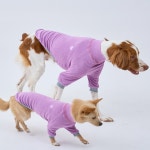 퍼피갤러리 퍼피갤러리 하트 테리 터틀넥 등긴강아지 소형견 대형견옷 카키 IGS 1개