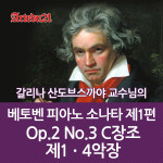 무배쿠폰 베토벤 피아노 소나타 2편 No8 c단조 Op13 비창 전악장