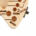 원목 유치 젖니 탯줄 보관함 배냇함